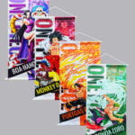 Set of 4 One Piece posters